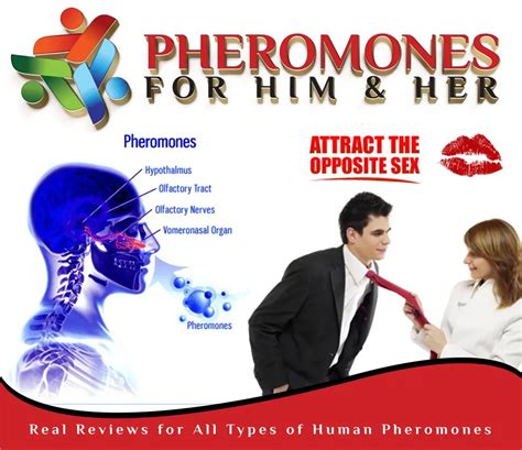 pheromone porn|Pheromone Porn Videos .